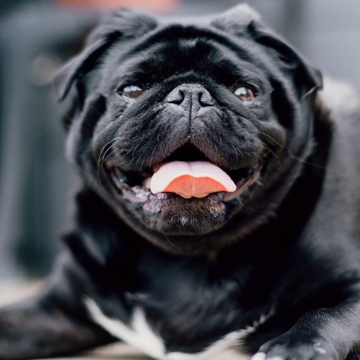 Camille Dubois - Founder of Harbor Plume Stone